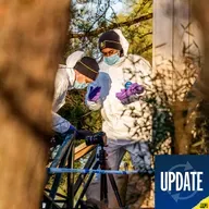 Nyhetssammanfattning - 29 december 15:30