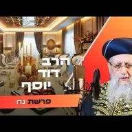הרב דוד יוסף • פרשת נח תשפ''ו | עלונימייל