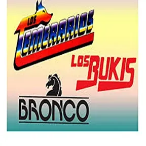 B.B.T SALTILLO
