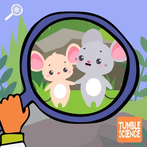 Do Animals Have Friends?