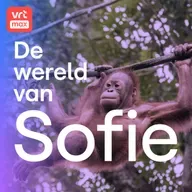 Zootjes