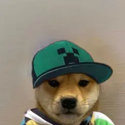 XDDDDDDDD