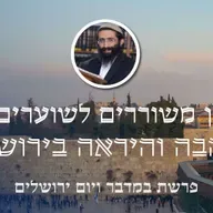 פרשת במדבר ויום ירושלים • בין משוררים לשוערים - האהבה והיראה בירושלים