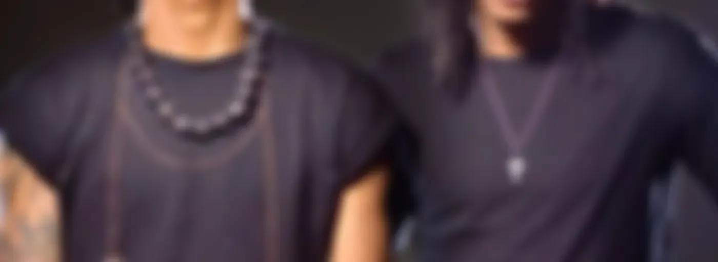 Les Twins Library 2
