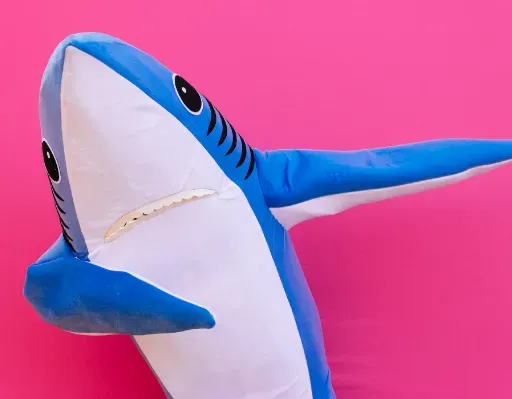Top10 #Mentalidad De “Tiburón”