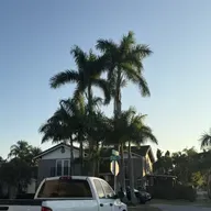 LOS MÁS INTRÉPIDOS EN MI NAVE (E1984).