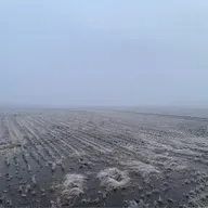 朝ラン-3℃。真っ白な朝と寝坊と金縛りと2025年印象に残った出来事ベストテン第2回。#1714 from Radiotalk