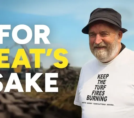 Tomás Ó Curraoin, Comhairleoir Contae