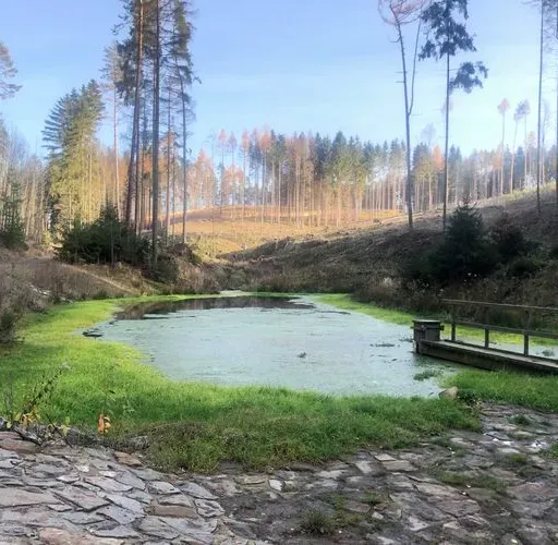 Malý bubeník