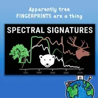 Apparently tree FINGERPRINTS are a thing
