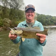 224: On the Fly South