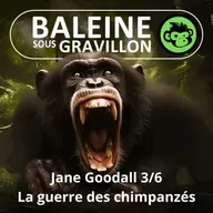 S07E23 Jane Goodall 3/6 : La guerre chez les chimpanzés (Emmanuelle Grundmann)