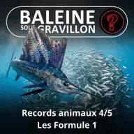 S07E147 Vous avez dit bizarre ? Records 4/5 : Les Formule 1 du Vivant