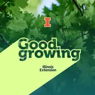 Ep. 219 Tree identification: Learning to name the trees around you | #GoodGrowing
