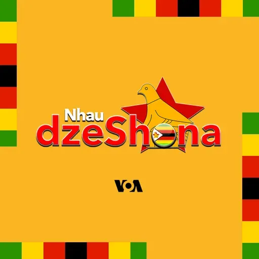 Nhau dzeShona  - Mbimbitho 29, 2025
