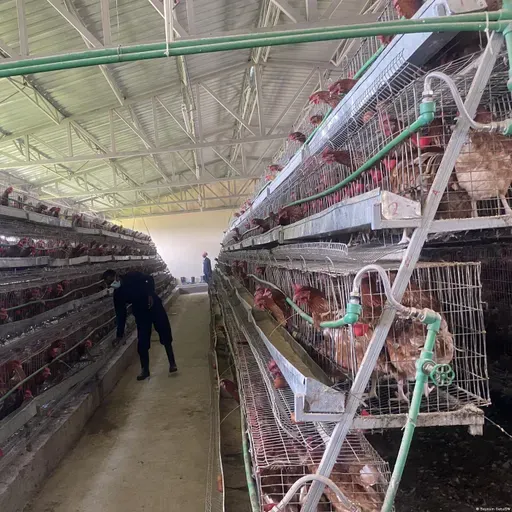 የሚያዚያ 6 ቀን 2018፤ የዜና መፅሄት