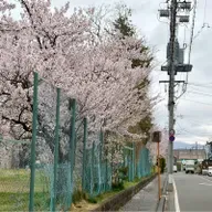 昼ラン10℃。用事があるのに寝坊で走れなかった朝の分の昼ランとボンドロと朝ドラ新ヒロイン。#1823 from Radiotalk