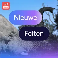 Olifantenslurf staat vol slimme tastharen