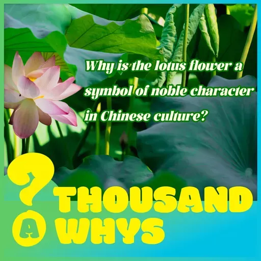 Why is the lotus flower a symbol of noble character in Chinese culture?
