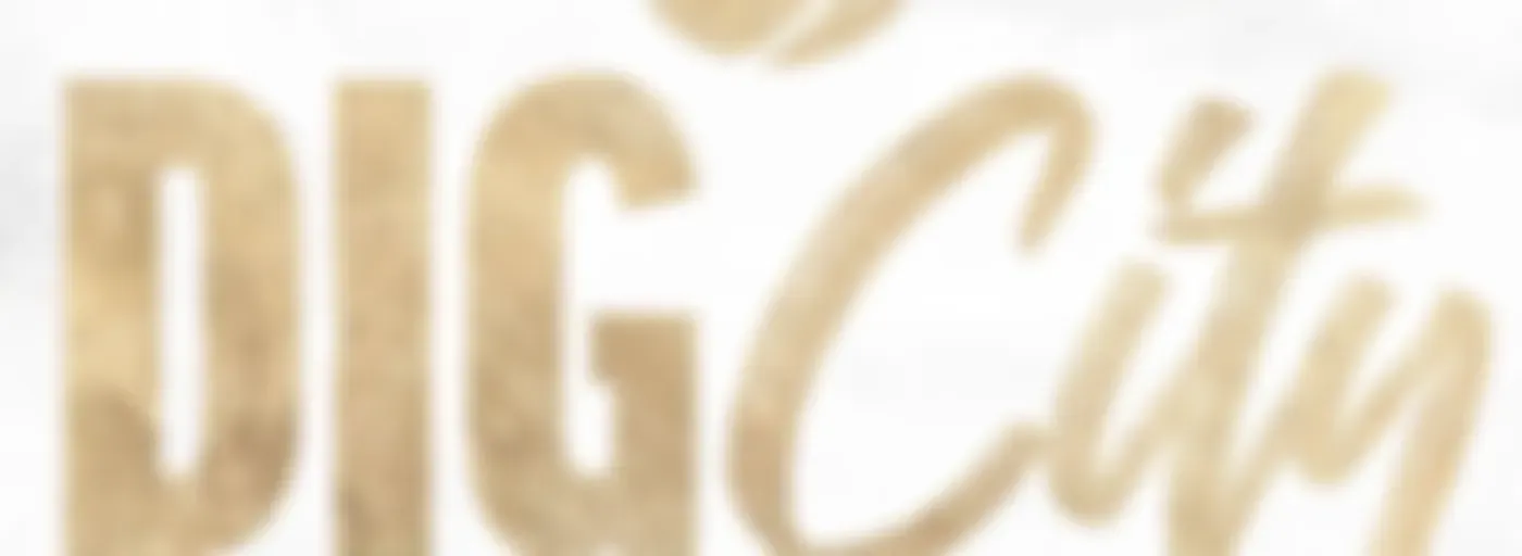 Dig City - Purdue Volleyball Podcast