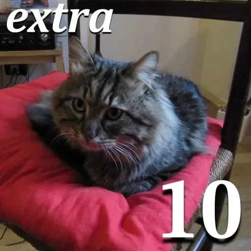Pr…Estate attenzione (Extra del Mercoledì #10)