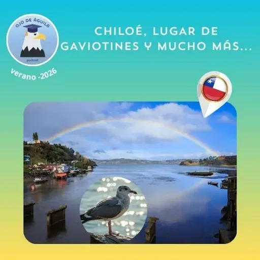 Ojo de Águila Cap 86- Chiloé, lugar de gaviotines y mucho más...