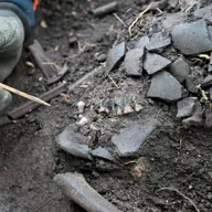 Nye analyser afslører: Taastrup-pigen er langtfra Danmarks ældste skelet