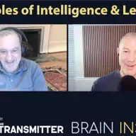 BI 229 Tomaso Poggio: Principles of Intelligence and Learning