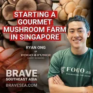 Can Mushroom Farming Help Achieve Singapore's Food Security Goals? Ryan Ong of Fogo Fungi