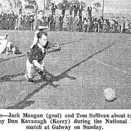 Clár #271: Dan Learaí Ó Cíobháin