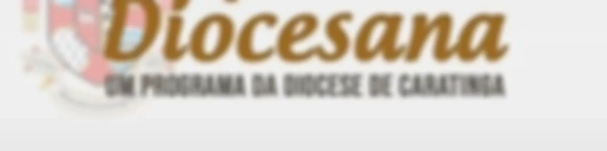 Voz Diocesana