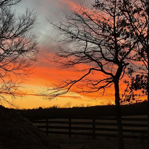 11-17-2024 Live Sunday Morning Service