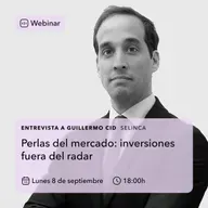 Perlas del mercado: Inversiones fuera del radar