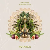 Premiere: Nik Baster ‒ Nomadic Pulse (Original Mix) [Botanica]