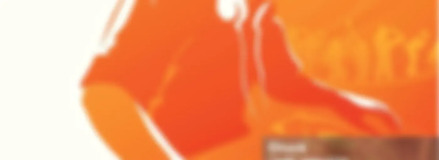 theHITman---USA--- 70s 80s DISCO mixes