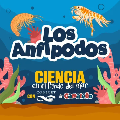 Anfípodos: Vida extrema en el fondo del mar