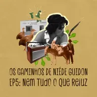 Nem Tudo o que Reluz