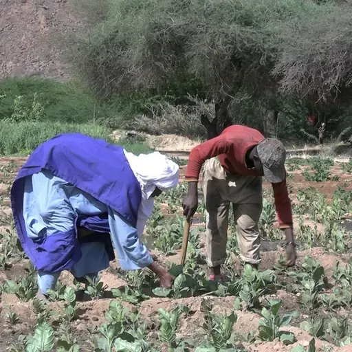 Timia : des jeunes mobilisés autour d’activités génératrices de revenus (Tous à la fada)