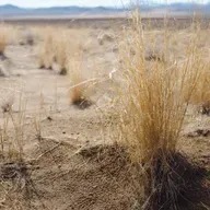 Uciekaj na pustkowie