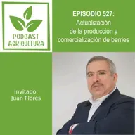 527 Actualización de la producción y comercialización de berries con Juan Flores