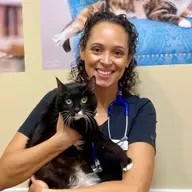 Entrepreneurs and Cats: Seasonal Care for Feline Friends