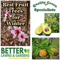 S2 Ep407: Better Lawns and Gardens - Hour 1 Best Fruit Trees December 6, 2025