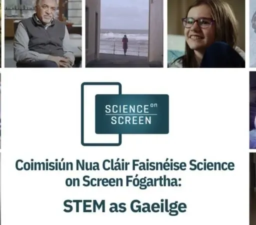 Fintan Hegarty, Léachtóir in Oideachas STEM trí Ghaeilge in Ollscoil na Gaillimhe.