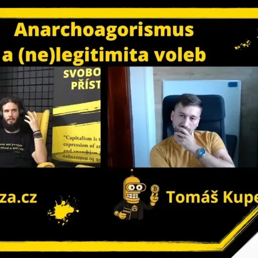 Je z pohledu anarchoagoristy legitimní volit?