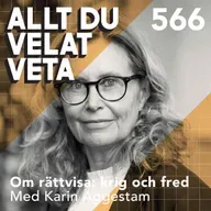 566 Om rättvisa: krig och fred med Karin Aggestam