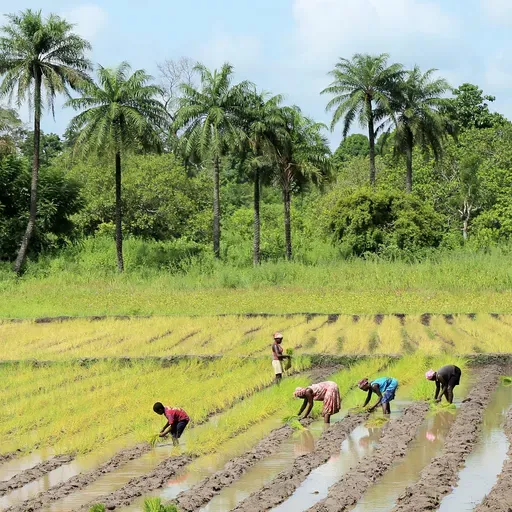 S7 Ep21: Boosting farmers' profits