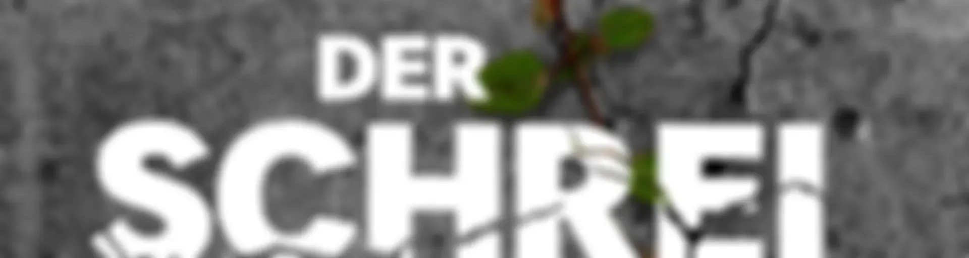 Der Schrei – Der rätselhafte Fall Rafael Blumenstock