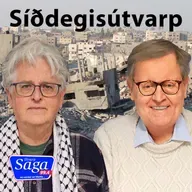 Friðartillögur Trumps - Sveinn Rúnar Hauksson