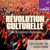 Révolution culturelle, une histoire chinoise : Chine et Révolution culturelle, des mémoires sous contrôle