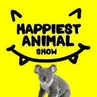 Sleepy Animals (with comedian David Gborie)